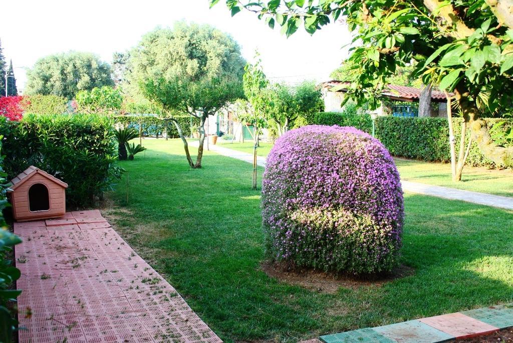 B&B Verdegiada Brindisi Exteriör bild