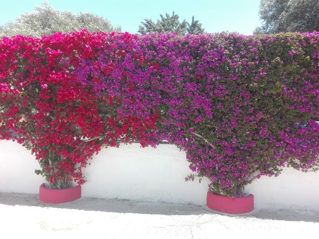 B&B Verdegiada Brindisi Exteriör bild